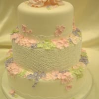One Stop Cake Shop, Gainsborough | Cake Makers &amp; Decorations - Yell