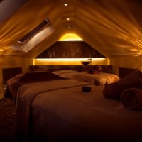 Image of Skin Elements