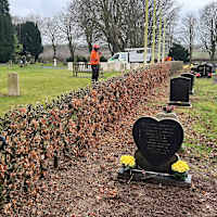 Image 31 of Tree Wise Men (NE) Ltd