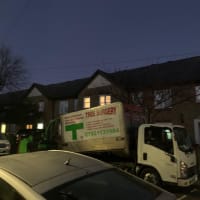 Image 20 of Special Branch Tree & Stump Removal