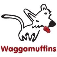 Waggamuffins Dog Grooming Kettering Dog Cat Grooming Yell