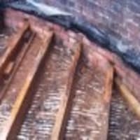 Image 23 of Bio-Kil Ltd