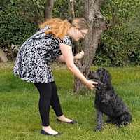 k999 dog behaviourist