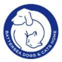 Battersea dogs and cats home hot sale brands hatch