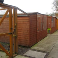 Ringtail Cattery, Bristol | Catteries - Yell