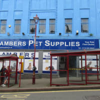 Chambers 2025 pet supplies