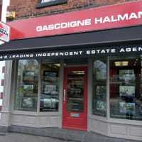 gascoigne halma