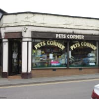 Pets Corner Newtown Pet Shops Yell