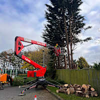 Image 30 of Tree Wise Men (NE) Ltd