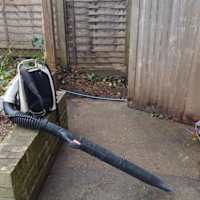 Image 47 of Trees R Us