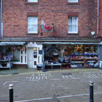 Welshpool Pets Welshpool Pet Shops Yell