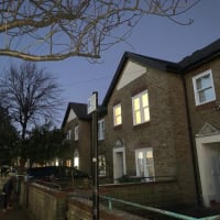 Image 19 of Special Branch Tree & Stump Removal