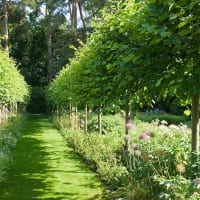 Acres Wild Landscape & Garden Design, Horsham | Garden Designers - Yell on Acres Wild Garden Design
 id=67855