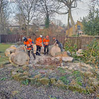 Image 38 of Tree Wise Men (NE) Ltd