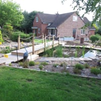 Image 2 of Aquavision Water Garden Services