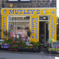 Mutleys Pets Aquatics Leeds Pet Shops Yell