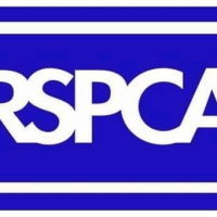 RSPCA Charity Shop, Stoke-On-Trent | Charity Shops - Yell