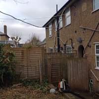 Image 50 of Trees R Us