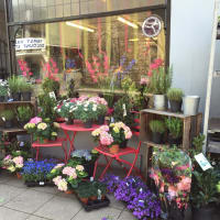 The Flower Box, Port Talbot | Florists - Yell