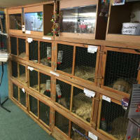 The Pet House, Bognor Regis | Pet Shops - Yell