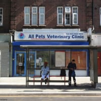 All pets cheap vet clinic