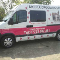 Leah's Posh Paws Mobile Dog Groomer, Rainham | Dog & Cat Grooming - Yell