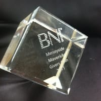 BNI Award for Insight 2 Drive