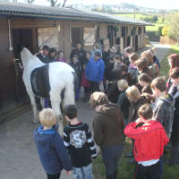 Pennant Park Riding Centre, Holywell | Riding Schools - Yell