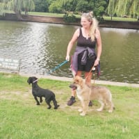 Image 8 of Four Paws Pet Services