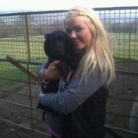 stainthwaite kennels