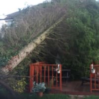 5 Star Home Improvements Spalding Landscapers Yell Image Of 5 Star Home Improvements