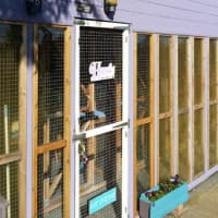 Welcome to the cattery!