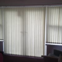 budget blinds of north san antonio