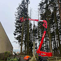 Image 23 of Tree Wise Men (NE) Ltd