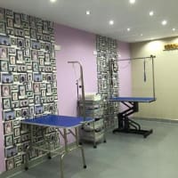 groomingdales by netty