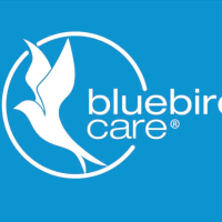 Bluebird Care South Somerset, Yeovil | Home Care Services - Yell