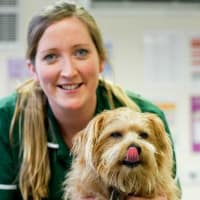 The Firs Veterinary Surgery, TARPORLEY | Vets - Yell