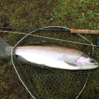 Craigmore Fishery - Antrim - Discover Northern Ireland