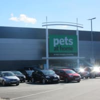 pets at home wimbledon vets