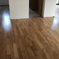 Image 16 of Odd Job Eddy