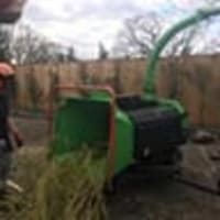 Image 10 of Special Branch Tree & Stump Removal