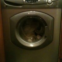 Image 14 of M G Domestics