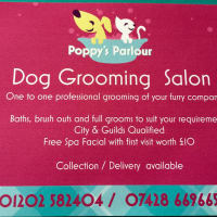 Poppy's store grooming parlour