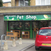 Animaltastic Hemel Hempstead Pet Shops Yell