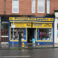 Discount pet clearance supplies near me