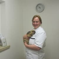 Rose Cottage Veterinary Centre Runcorn Vets Yell