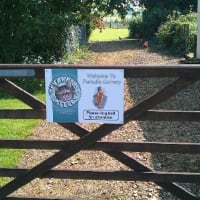 Image of Furballs Cattery