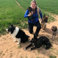 Image 23 of Four Paws Pet Services