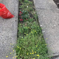 Image 19 of SJE Window Cleaning & Maintenance