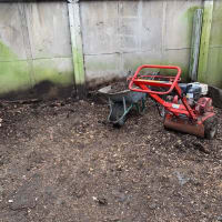 Image 47 of Special Branch Tree & Stump Removal